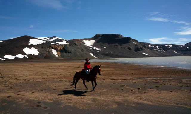 Galopp,  erster Tag des Trailritt